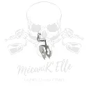 support-d-etrier-arriere-drp-pour-yamaha-r6-06-16 (2).webp