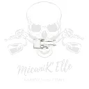 support-d-etrier-arriere-drp-pour-yamaha-r6-06-16 (3).webp