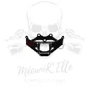 araignee-racing-avec-ram-air-db-holders-pour-kawasaki-zx10r-08-10 (1).webp