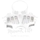 te-de-fourche-pp-tuning-pour-yamaha-r9-25-xsr900-gp-22-25-r1-20-25 (1).webp