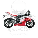 silencieux-akrapovic-pour-yamaha-r6-06-18 (1).webp