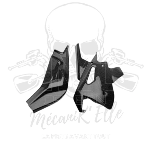[Référence : A50175] Protections de bras oscillant AMC Carbon pour Aprilia RS660/Tuono 660 20-24