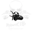 Araignée racing avec ram-air DB Holders pour Ducati Panigale V4 18-21/V4R 19-20