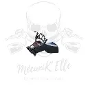 Araignée racing avec ram-air DB Holders pour Yamaha R1 20-24