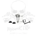 Tendeurs de chaine Gilles Tooling pour Honda CBR1000RR 20-23