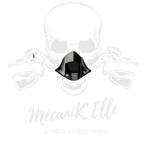 [08-H300151] Garde boue arrière AMC Carbon pour Honda CBR1000RR 17-19