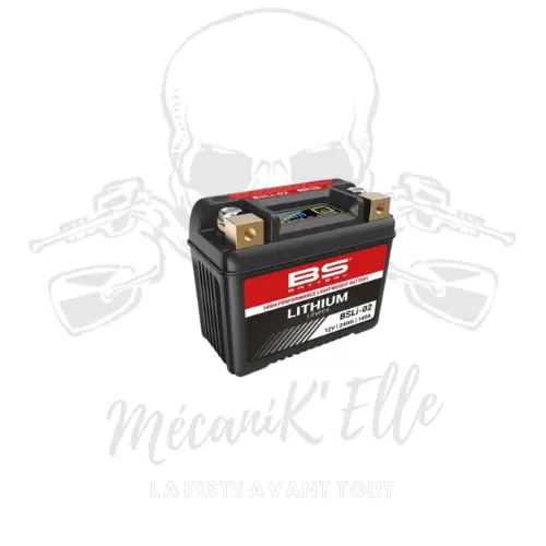 [01-1077869] Batterie lithium BS Battery BSLI-02