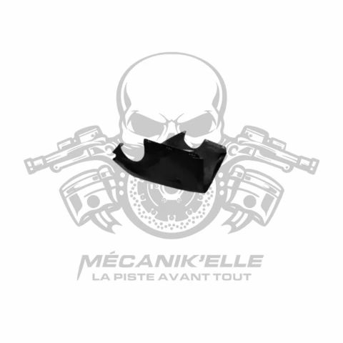 [Référence: CADS2.D1004] Sabot moteur Racing DUCATI Panigale V4 18/20