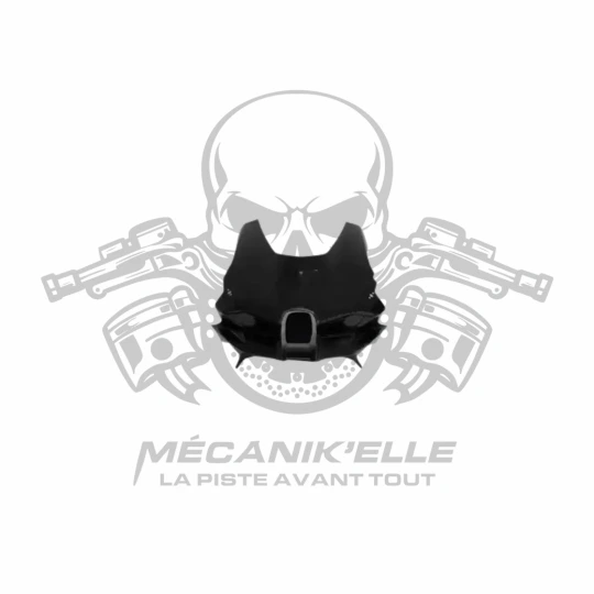 [Référence: CAKRO5373] Carénage supérieur CRC KAWASAKI ZX10-R 21+