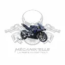 Set complet carénage S2 CONCEPT YAMAHA R1GP 15-25
