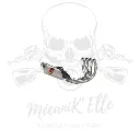 Ligne complète Akrapovic full titane pour Yamaha R1/R1M 20-23