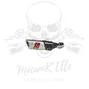 Silencieux Akrapovic pour Yamaha R6 17-24