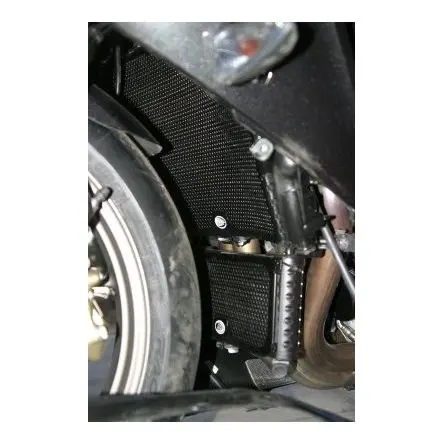 [Référence : 01-1088108001] Grille de protection de radiateur R&G BMW S1000R 14-16/S1000RR 09-14