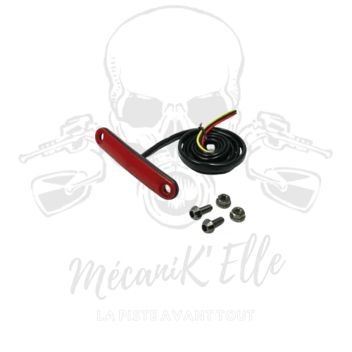 [Référence : 03-D45-29-310] Feu arrière pluie