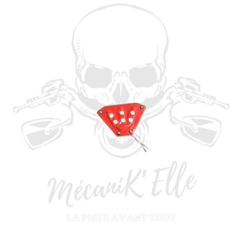 [Référence : 16-PE-FA-RL-6-HON09] Feu arrière pluie Blinder pour Honda CBR1000RR 20-23