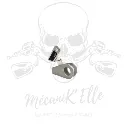 Support d'étrier arrière DRP pour Yamaha R6 06-16