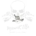 Support inversé d'étrier arrière pour Yamaha R6 17-24